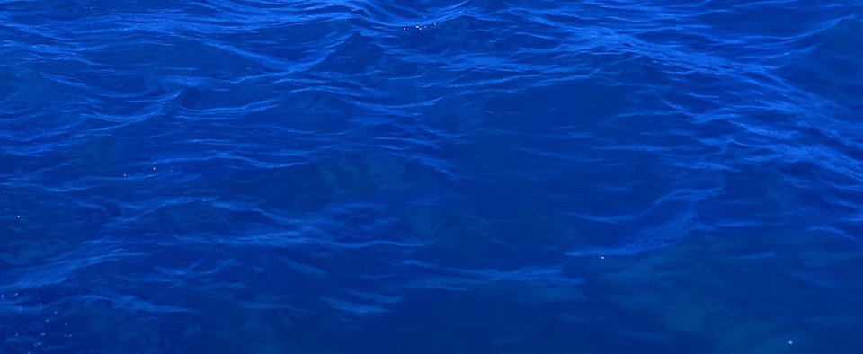 株式会社SOMA BLUEのサイトです